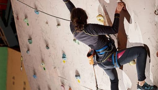 جدار التسلق